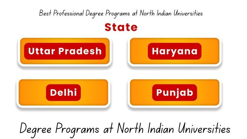 Best Professional Degree Programs at North Indian Universities: A Complete Guide